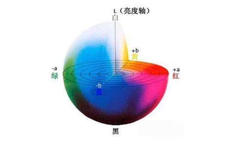 色澤 意思|色澤的意思